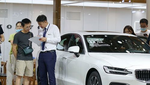 八成公司銷量下滑 汽車經銷商上半年業(yè)績加速分化